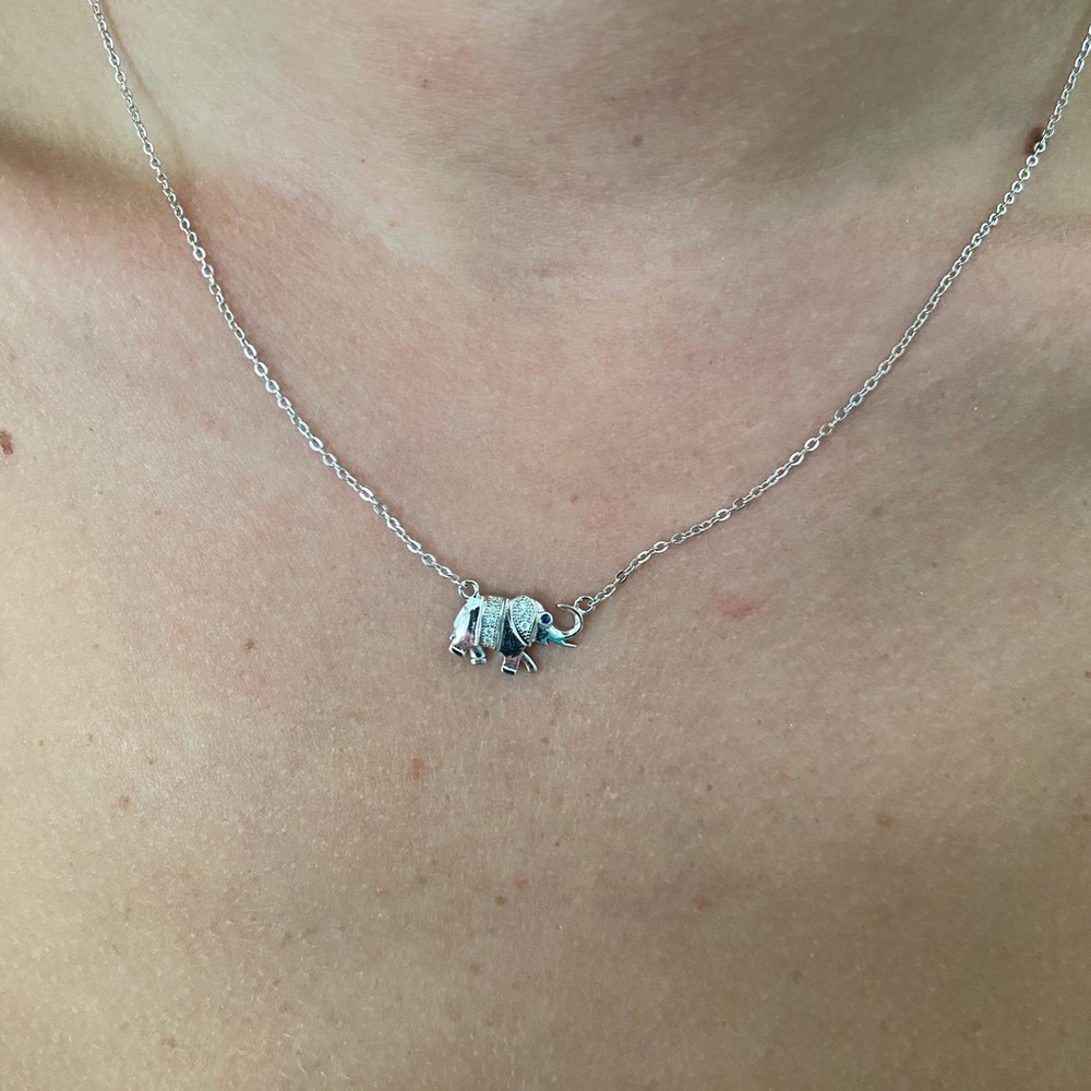 Clearance $15 Firm! Sterling Silver Necklace - Picture 8 of 16